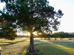 Kuebler Waldrip Haus B&B