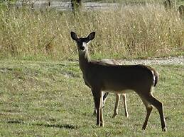 Kuebler Waldrip Haus B&B