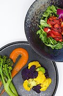 YO1 Longevity & Health Resorts, Catskills