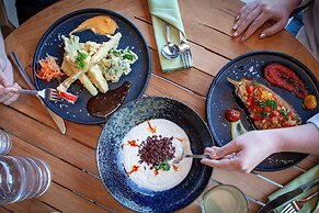 YO1 Longevity & Health Resorts, Catskills