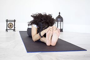 YO1 Longevity & Health Resorts, Catskills