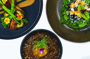 YO1 Longevity & Health Resorts, Catskills