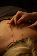 YO1 Longevity & Health Resorts, Catskills