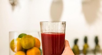 YO1 Longevity & Health Resorts, Catskills