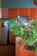 Hostal Don Jose - Hostel