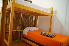 Hostal Don Jose - Hostel
