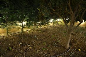 Blue Ark Aigeira Flat & Studio