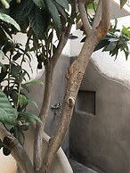 Blue Ark Aigeira Flat & Studio