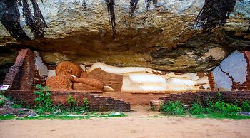 Thick forest sigiriya
