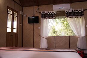 Thick forest sigiriya