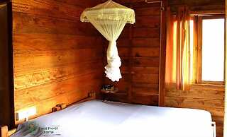 Thick forest sigiriya