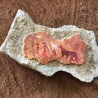 Thick forest sigiriya