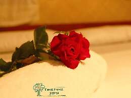 Thick forest sigiriya