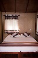 Thick forest sigiriya