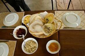 Thick forest sigiriya