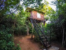 Thick forest sigiriya