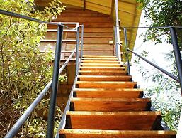 Thick forest sigiriya