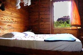 Thick forest sigiriya