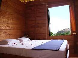 Thick forest sigiriya