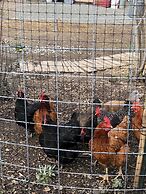 Heartwood Mountain Sanctuary