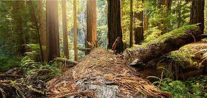 Heartwood Mountain Sanctuary