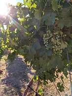 Hotel Boutique Canon de Talampaya