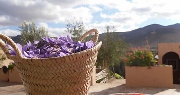 Auberge Restaurant Le Safran Taliouine