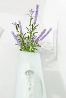 Your Dream Home at Abreeza Davao