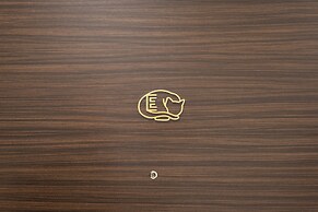 STUDIO INN NISHISHINJUKU