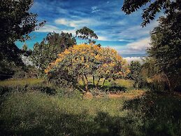 Finca Agrreste Bed & Breakfast