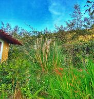 Finca Agrreste Bed & Breakfast