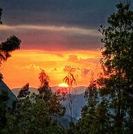 Finca Agrreste Bed & Breakfast