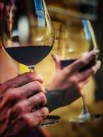 Finca Agrreste Bed & Breakfast