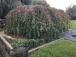 Karapiro Willows Luxury B & B