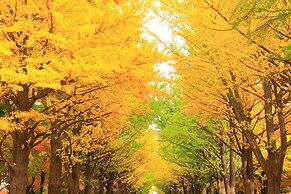 Residence Hotel Stripe Sapporo