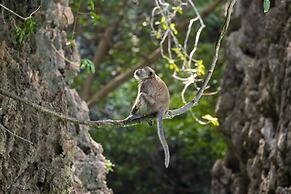 Phi Phi CoCo Beach Resort