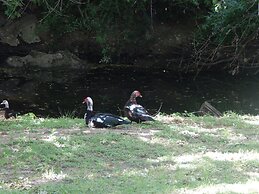 Fabulous Pristine Park Side Townhome