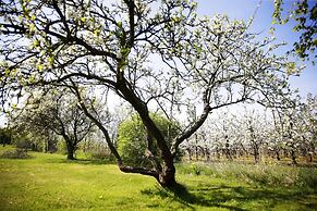 Motel Højmølle Kro