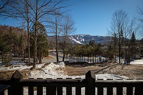 Les Chalets Sauvignon