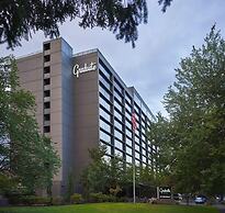 Graduate by Hilton Eugene