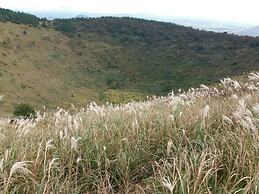 Jeju Igloo Pension