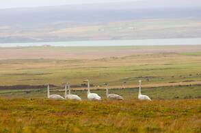 Blue View Cabin 4A with Hot Tub