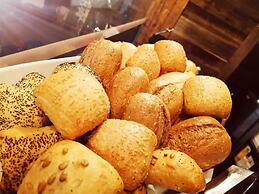 Pension Almhof Baumgarten