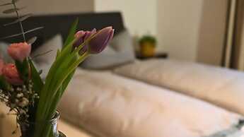 Pension Almhof Baumgarten