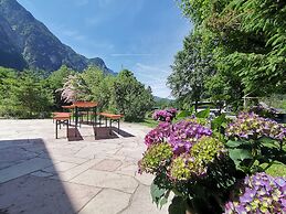 Pension Almhof Baumgarten