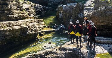 Pension Almhof Baumgarten