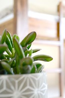 Pension Almhof Baumgarten