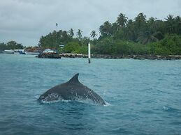 Ocean Beach Inn - Maldives