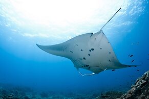 Ocean Beach Inn - Maldives