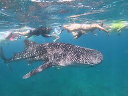 Ocean Beach Inn - Maldives